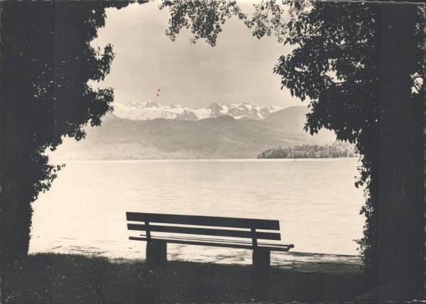 Blick von Luzern auf Vierwaldstättersee und Alpen Vorderseite