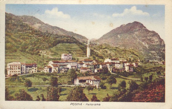 Posina, Panorama