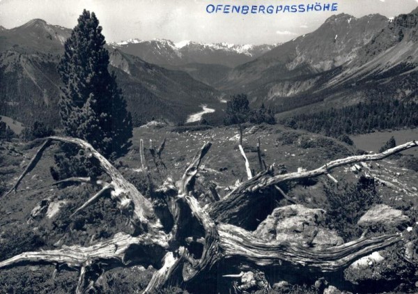 Ofenbergpasshöhe. Blick über den Nationalpark gegen La Schera, Piz Sarsura, Piz Grialetsch und Piz del Fuorn Vorderseite