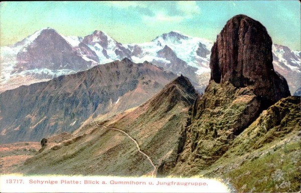 Schynige Platte : Blick am Gummihorn und Jungfraugruppe Vorderseite