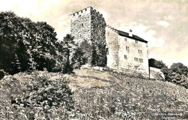 Schloss Habsburg Vorderseite