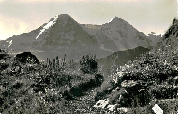 Alpengarten Schynige Platte mit Eiger und Mönch Vorderseite
