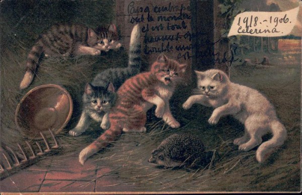 Katzen und Igel Vorderseite
