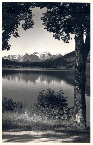 Ägerisee mit Urirotstock Vorderseite