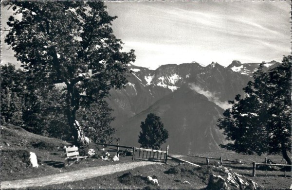 Braunwald, am Weg zur Aip Vorderseite