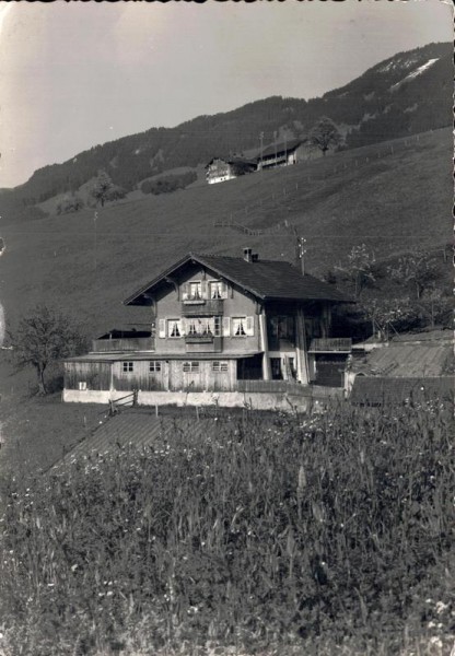 "Chalet Vergissmeinnicht", Ferienwohnung mit der schönen Aussicht auf See und Berge Vorderseite