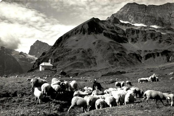 Am Surenenpass Vorderseite