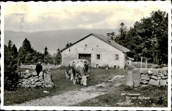 Chaumont Vorderseite