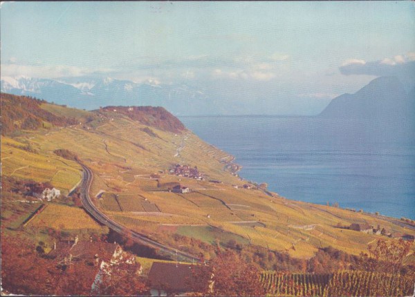 Lavaux