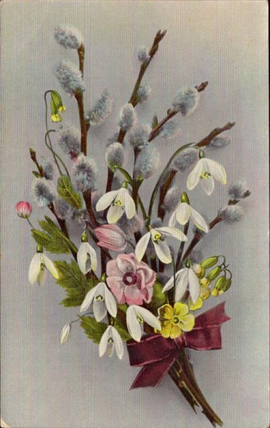 Frühling Vorderseite