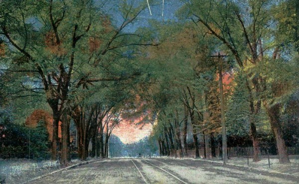 Strasse mit Allee Vorderseite