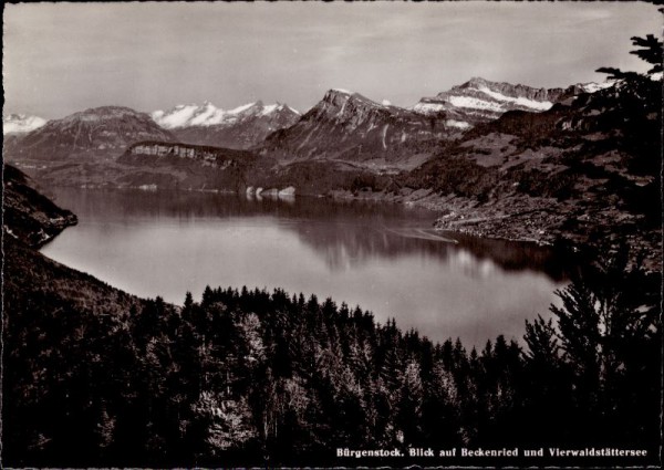 Bürgenstock, Blick auf Beckenried und Vierwaldstättersee