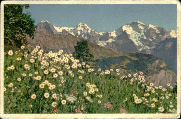 Eiger, Mönch und Jungfrau Vorderseite