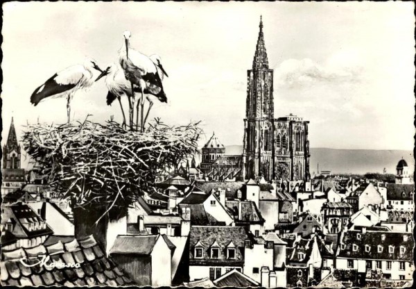 Straßburg/Strasbourg Vorderseite