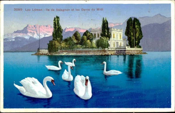 Villa Salagnon/Lac Léman Vorderseite