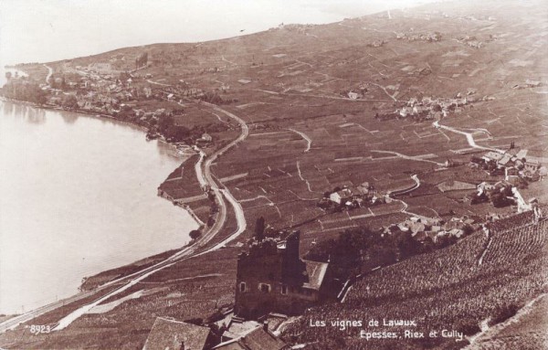 Les vignen de Lavaux - Spesses Riex et Cully