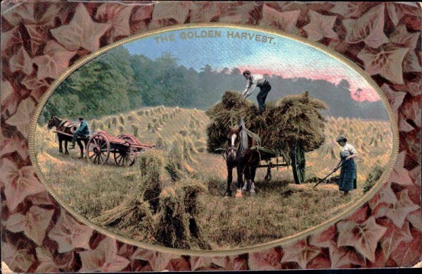 The Golden Harvest Vorderseite