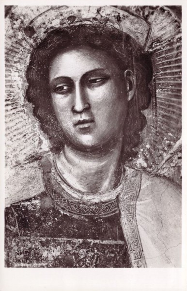 Padova - Cappella degli Scrovegni all'Arena "La testa della Vergine" (Giotto)