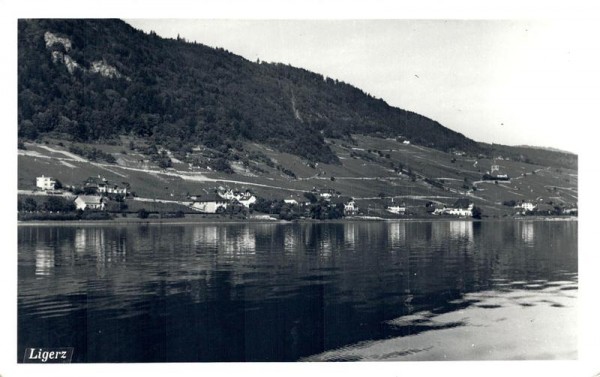 Ligerz Vorderseite