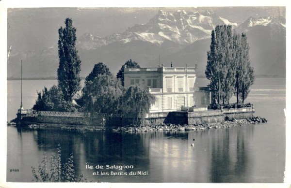 Ile de Salagnon et Dents du Midi Vorderseite