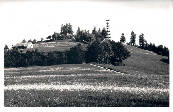 Bachtel-Kulm, Die Rigi des Zürcher-Oberlandes Vorderseite