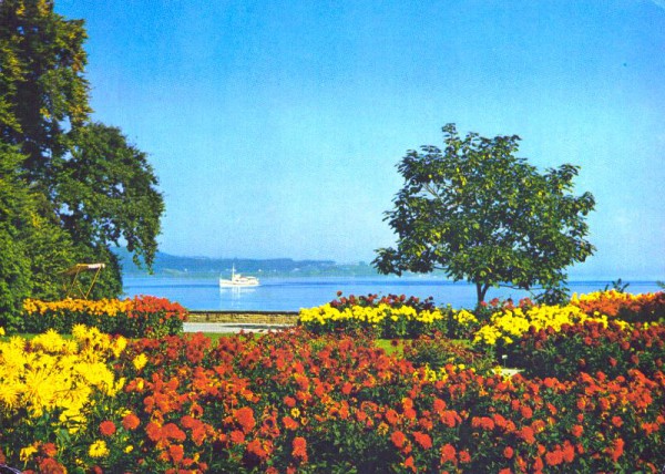 Insel Mainau im Bodensee - Dahlien im Ufergarten - Blick auf Meersburg