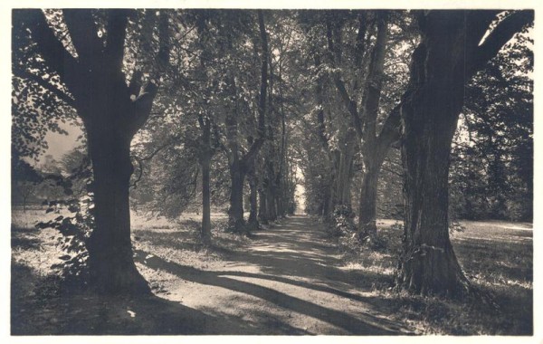 Allee Vorderseite