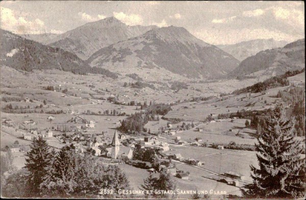 Saanen Vorderseite