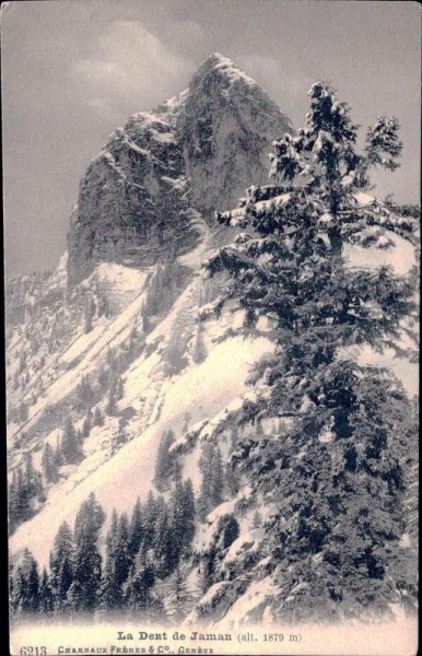 La Dent de Jaman (1875 m) Vorderseite