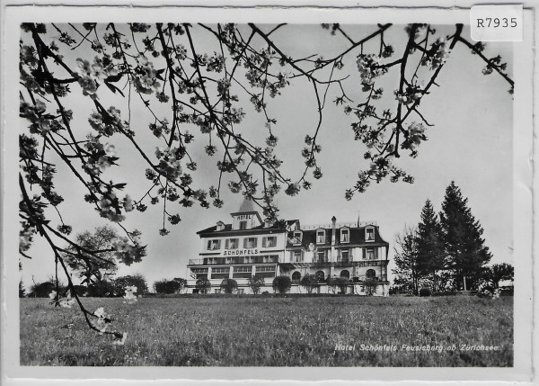 Hotel Schönfels Feusisberg ob Zürichsee im Frühling