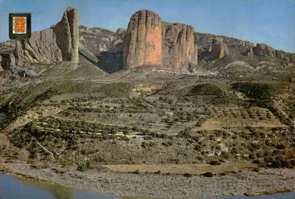 Pirineo Aragones Vorderseite