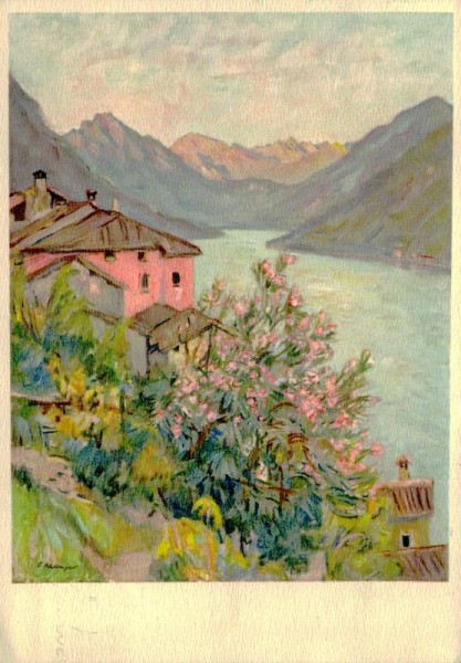 Blühender Oleander,  Vorderseite