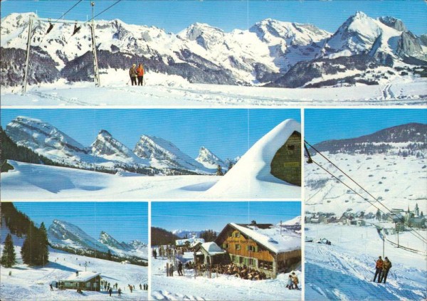 Obertoggenburg Vorderseite