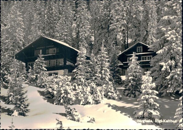 Rigi-Kaltbad, Berghuis Vorderseite