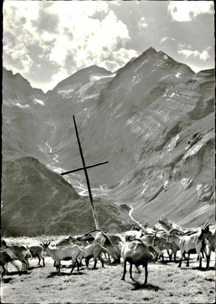 Bifertenstock (3431 m) Vorderseite