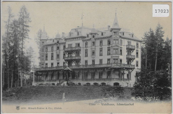Films-Waldhaus - Hotel Schweizerhof