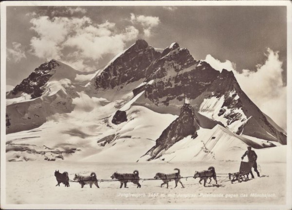 Polarhunde Jungfraujoch