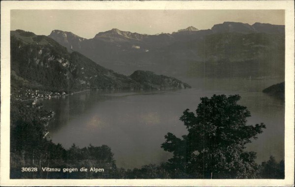 Vitznau gegen die Alpen Vorderseite