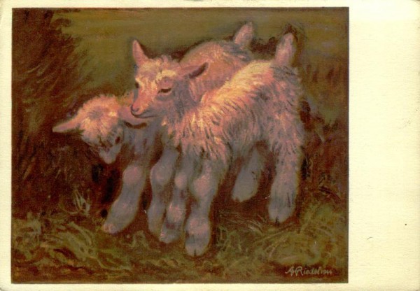 Arthur Riedel,Zicklein Vorderseite