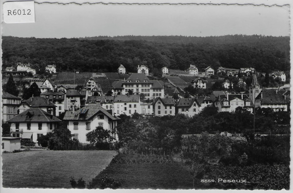Peseux - Vue generale