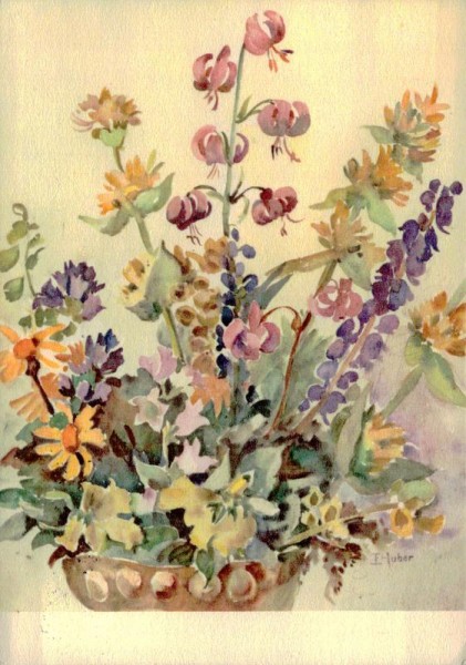 Alpenblumen, E.Huber Vorderseite