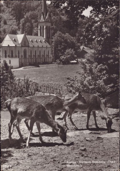 Kneipp - Kurhaus Dussnang, Hirschpark