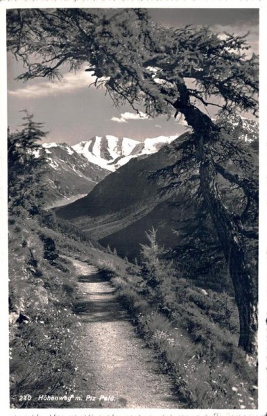 Höhenweg m. Piz Palü Vorderseite