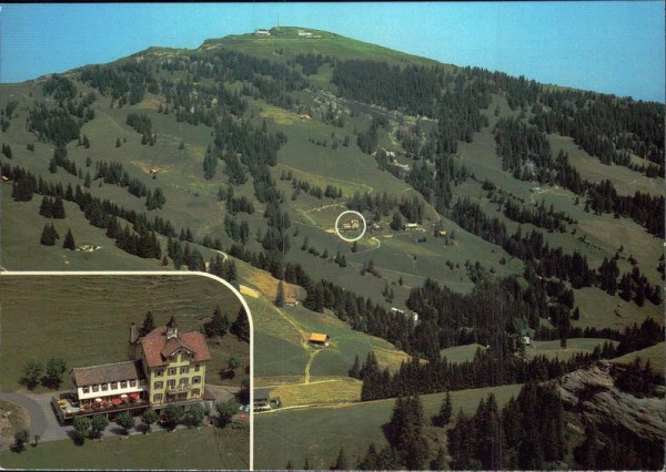 Rigi-Klösterli, Hotel des Alpes, Flugaufnahme Vorderseite