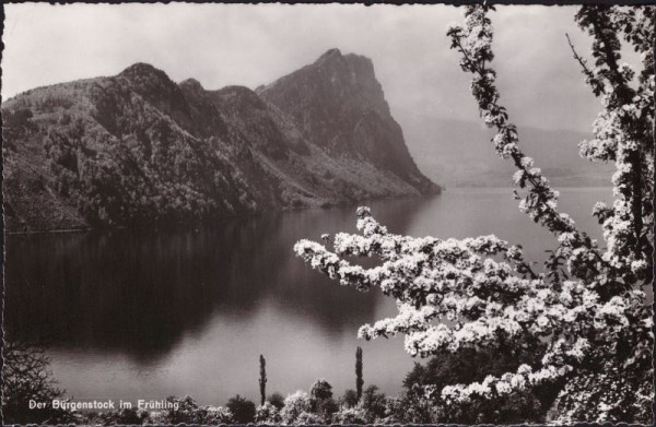 Der Bürgenstock im Frühling