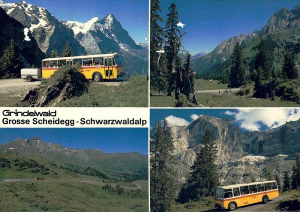 Grindelwald, Grosse Scheidegg-Schwarzwaldalp Vorderseite