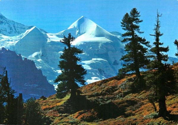 Silberhorn Vorderseite