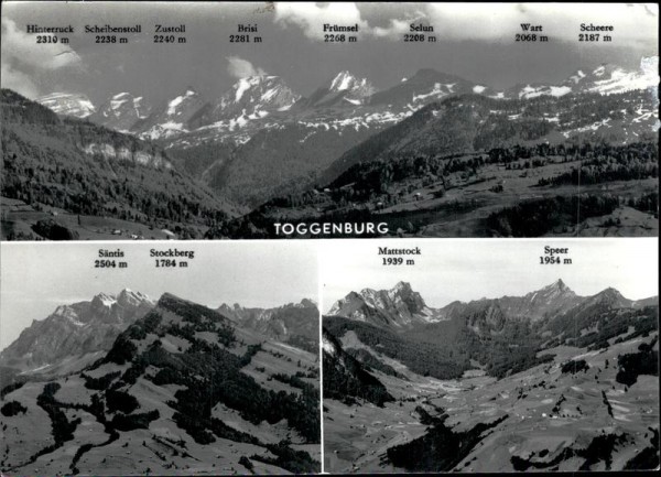 Toggenburg Vorderseite