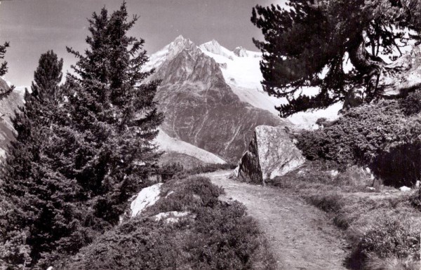 Riederalp am Aletschgletscher - Ausblick vom Casselweg am Riederhorn