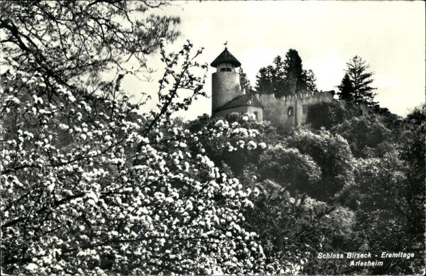 Burg Birseck Vorderseite